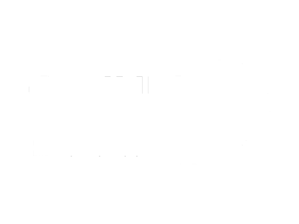 lions logo